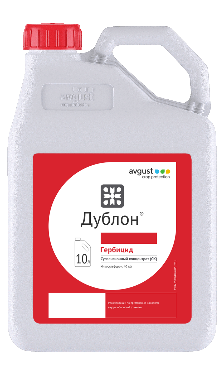 Дублон