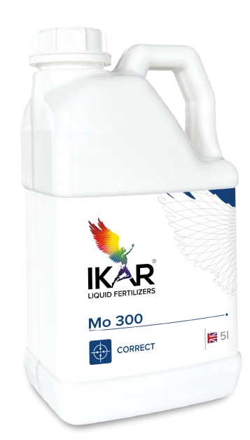 IKAR Mo 