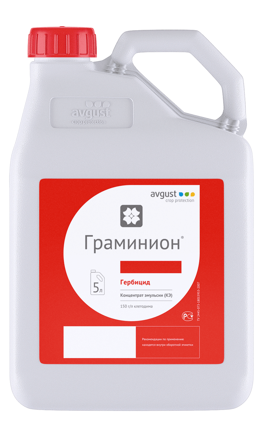 Граминион