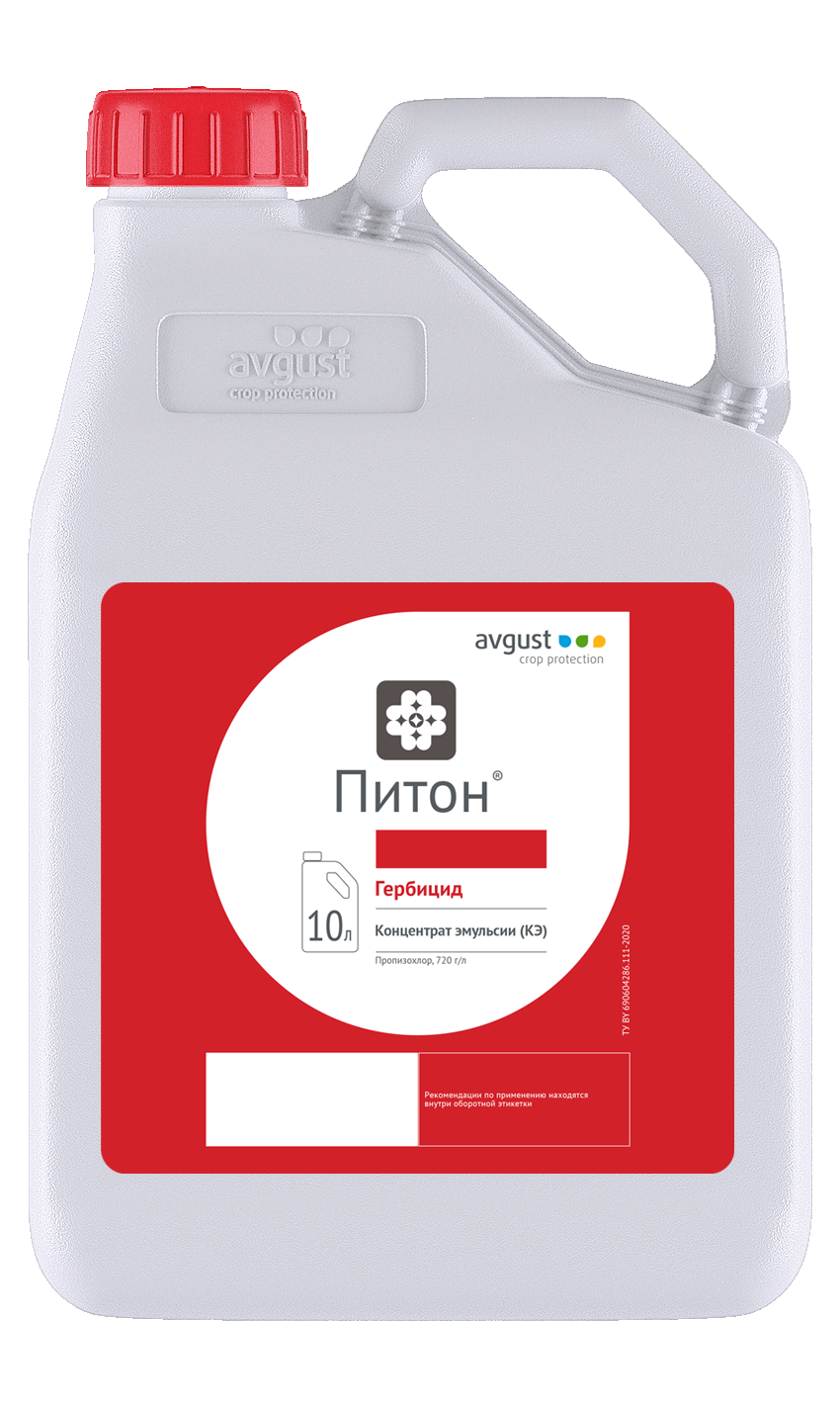 Питон