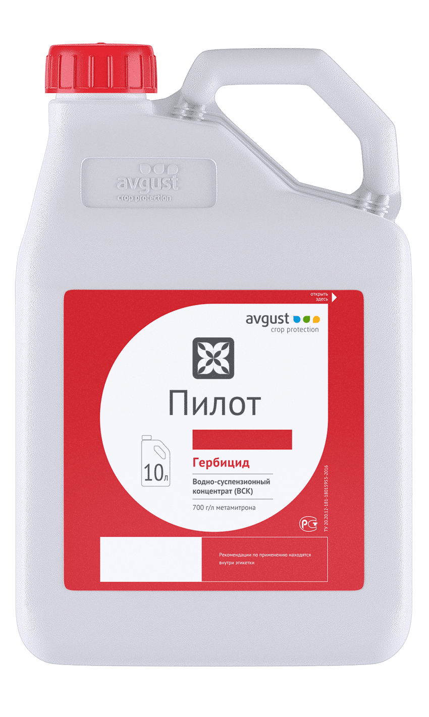 Пилот