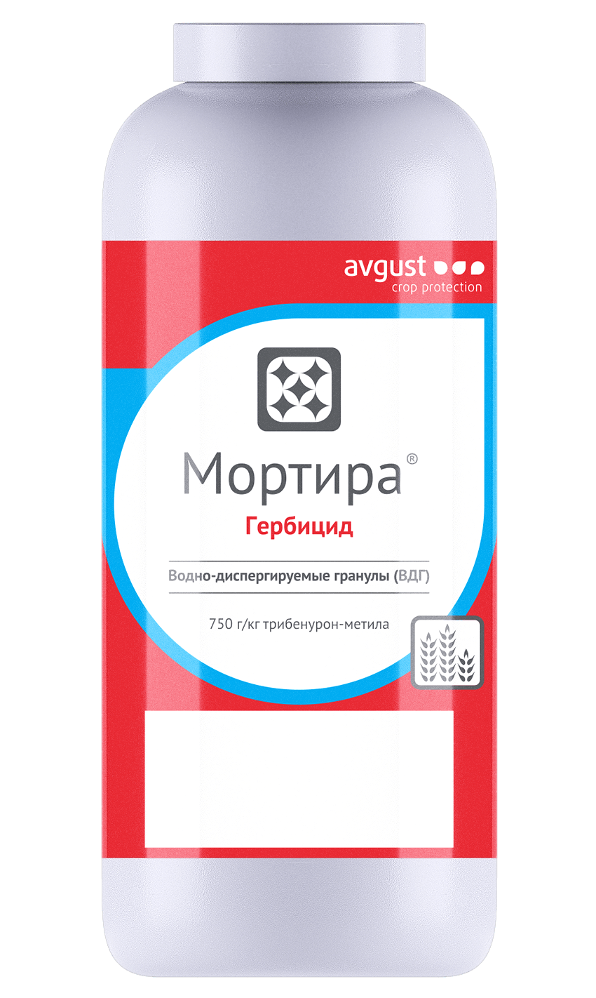 Мортира