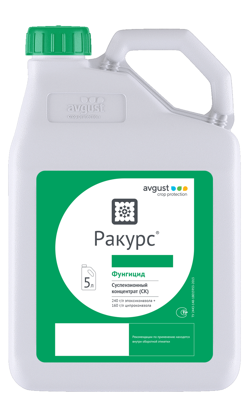 Ракурс