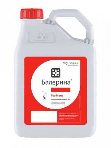 Балерина