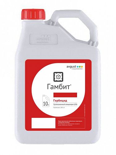 Гамбит