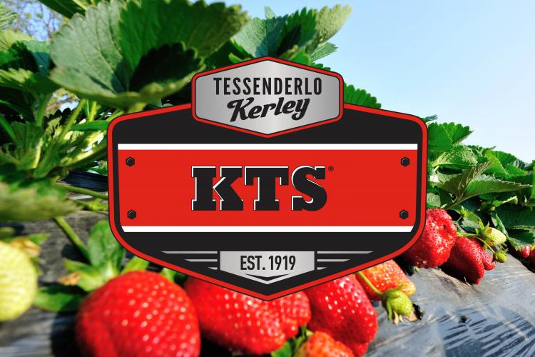 KTS