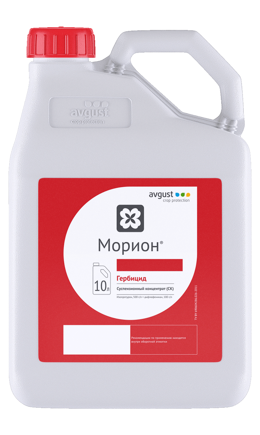 Морион