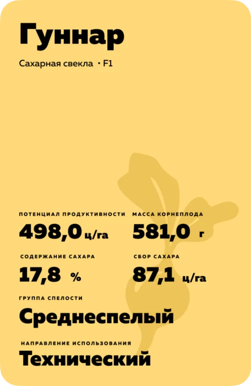 ГУННАР