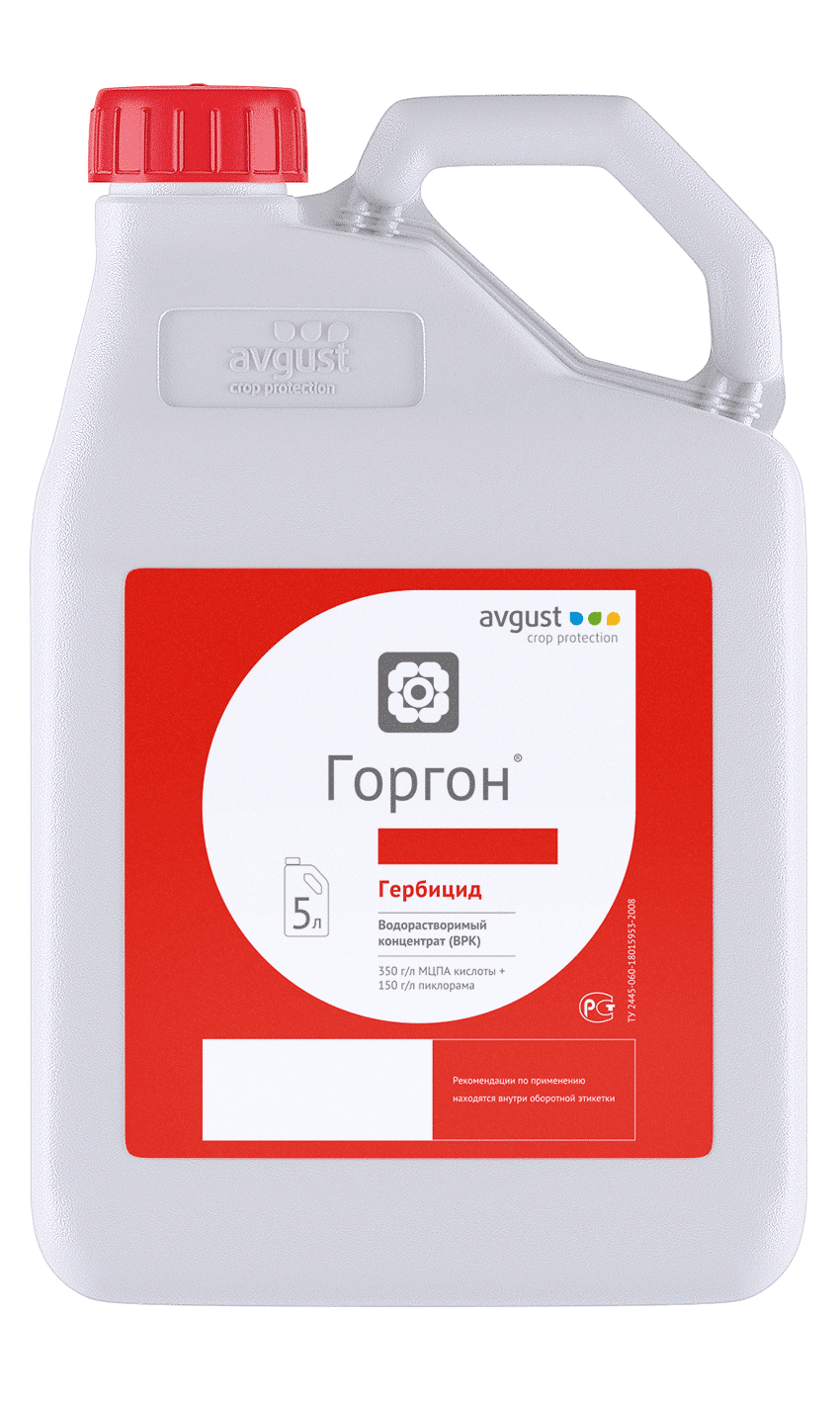 Горгон