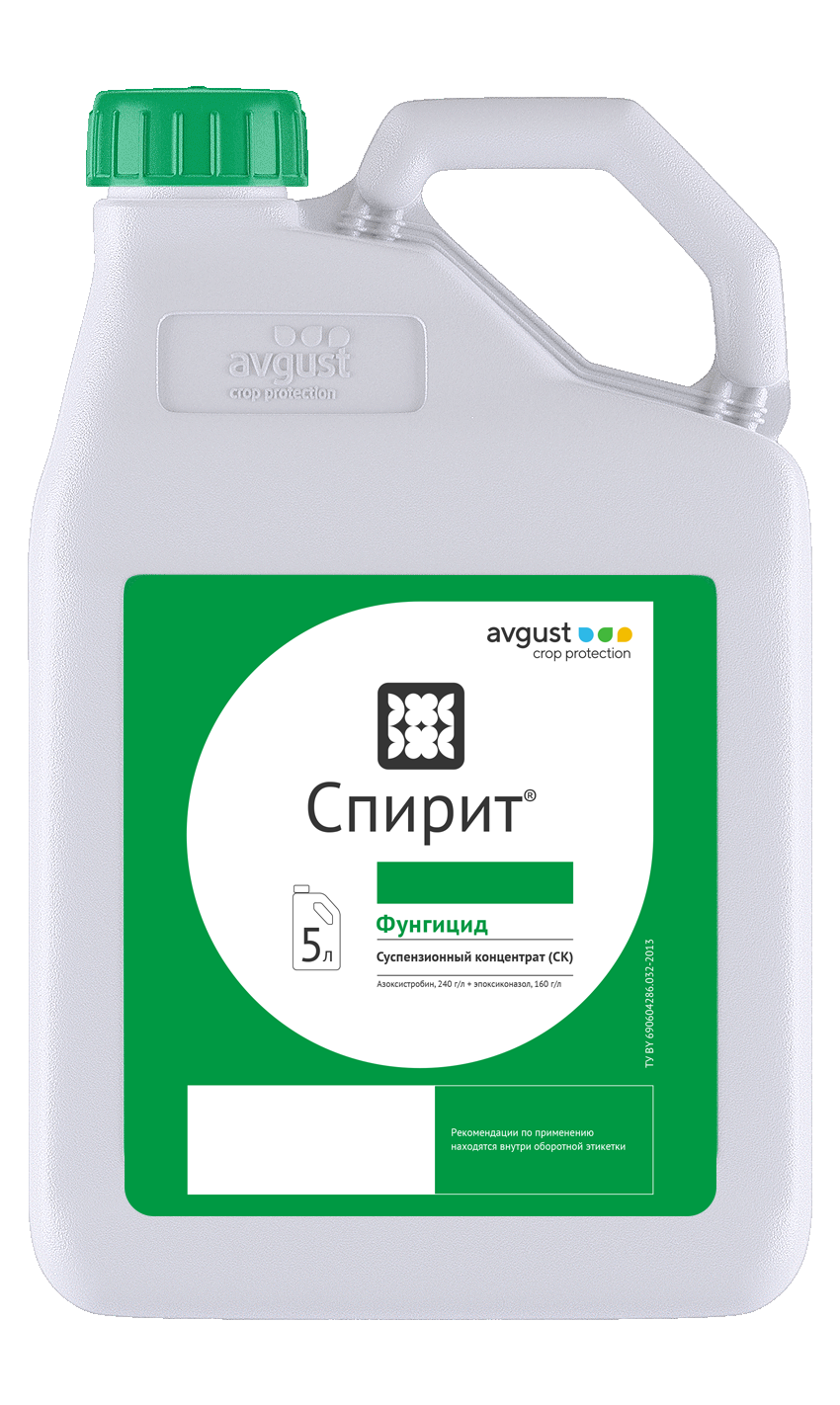 Спирит