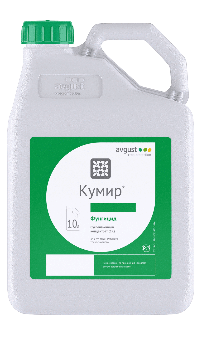 Кумир