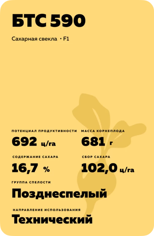 БТС 590 (BTS 590)