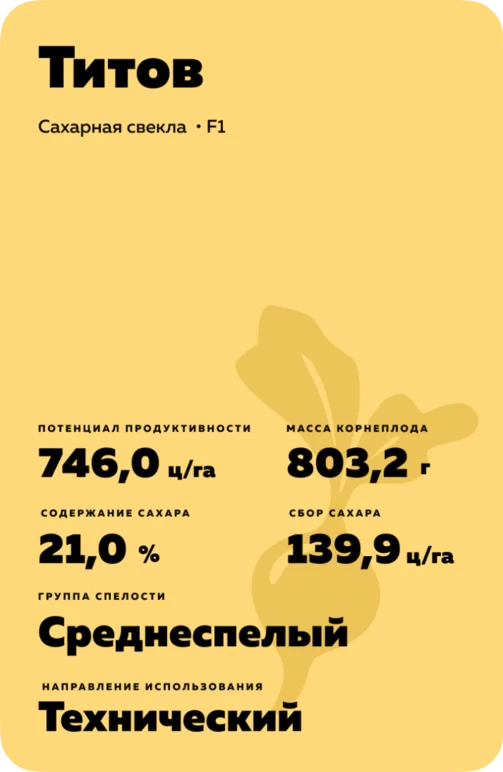 Титов (TITOW)
