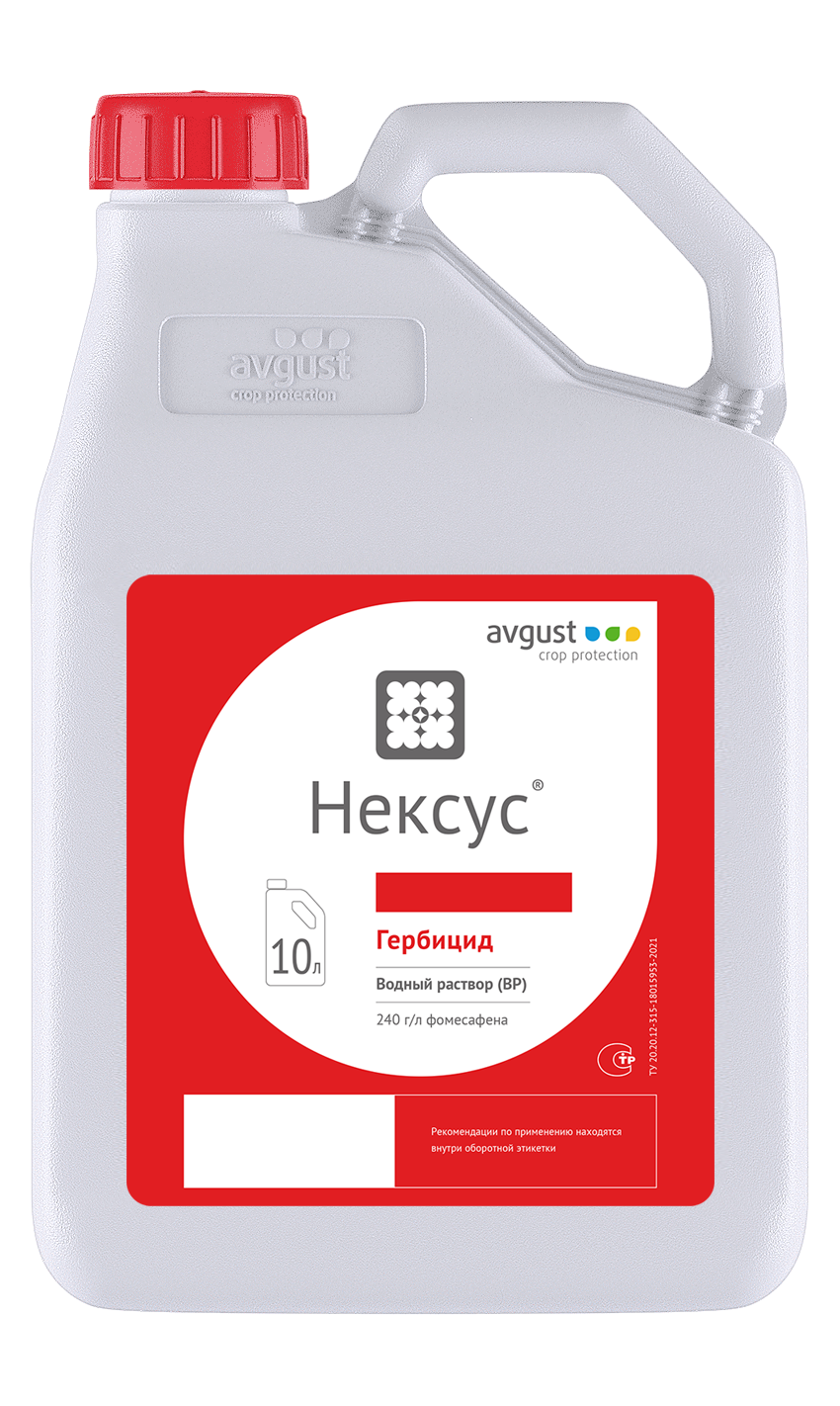 Нексус