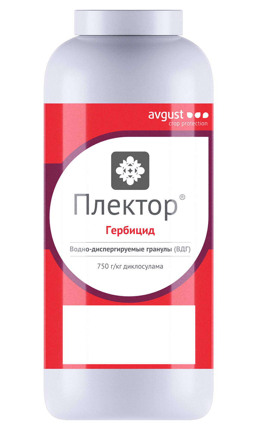 Плектор