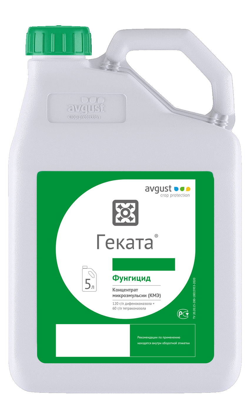 Геката