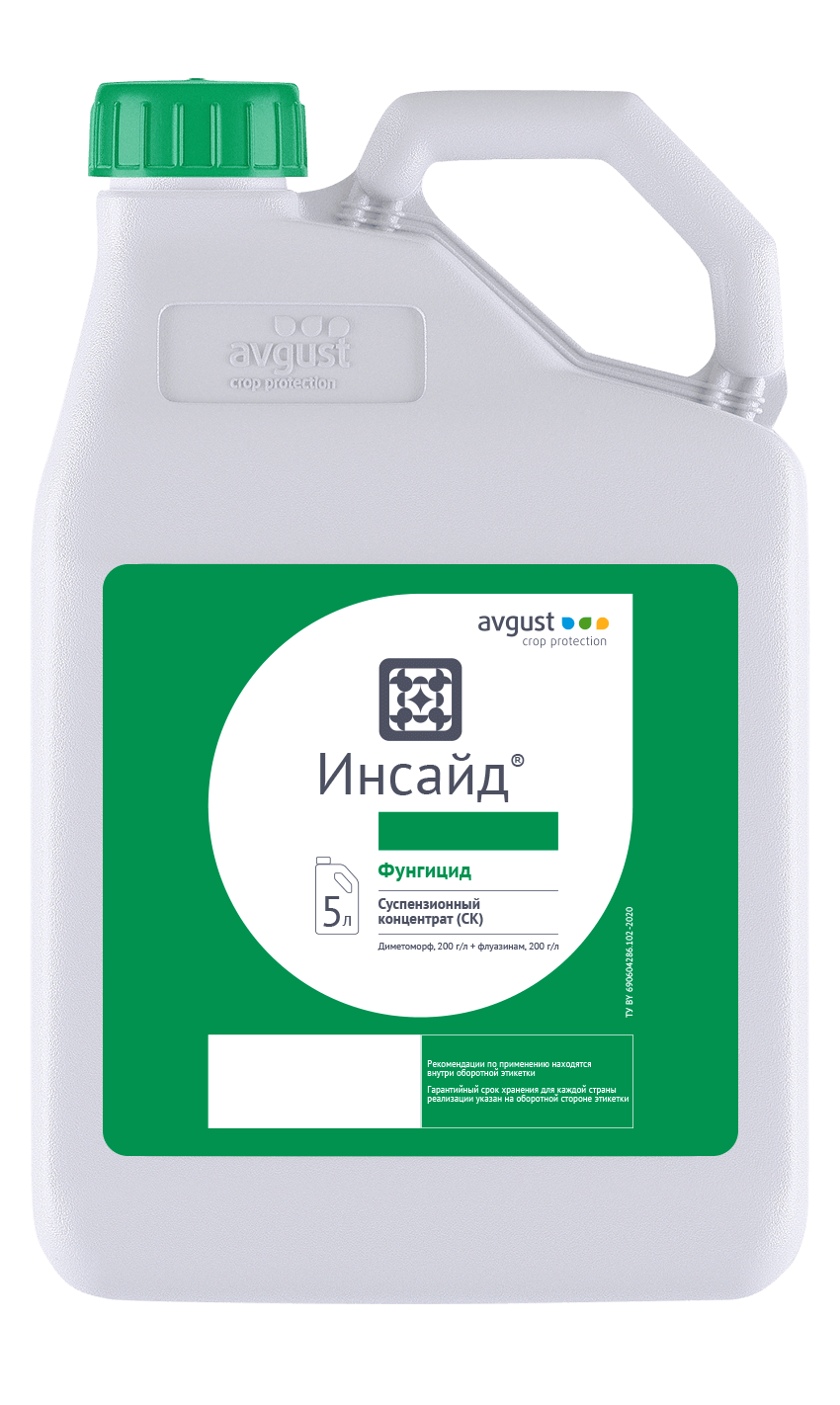 Инсайд