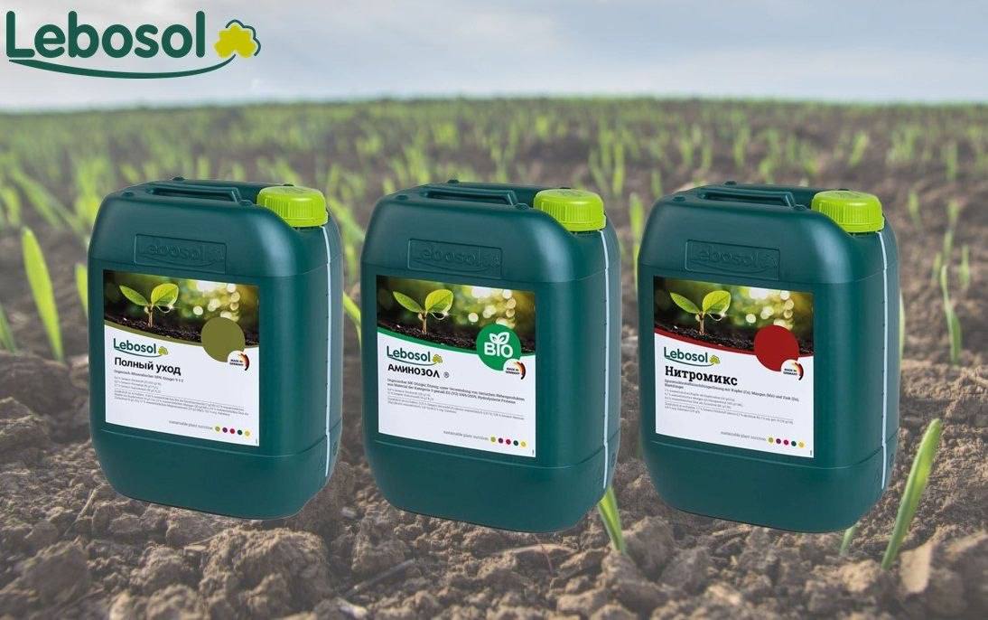 СЛОЖНЫЕ УСЛОВИЯ СЕВА ЯРОВЫХ КУЛЬТУР