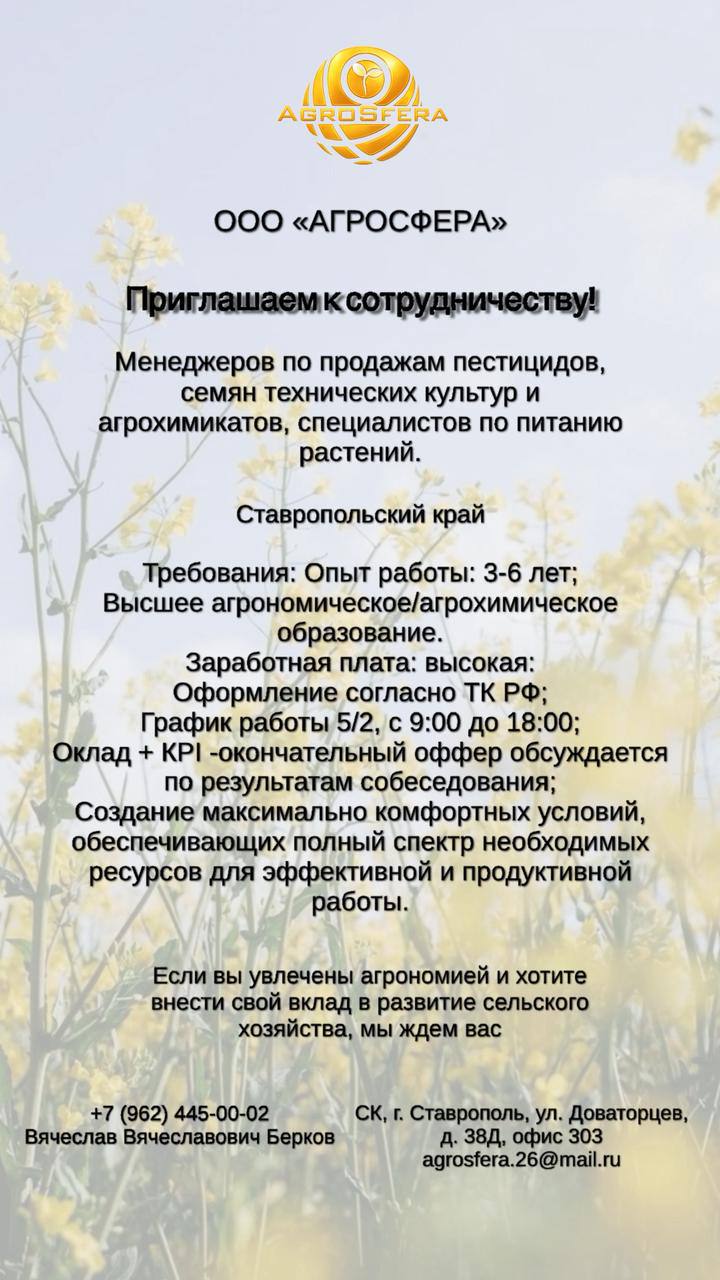 ВАКАНСИЯ ГОРОД СТАВРОПОЛЬ