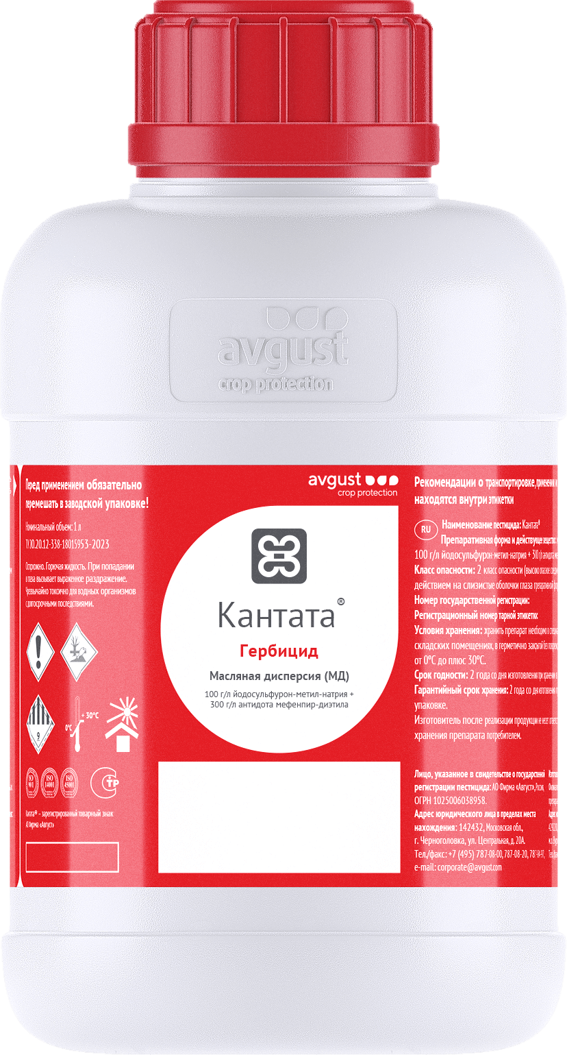 Кантата