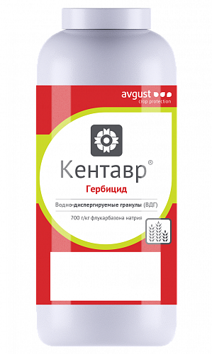 Кентавр