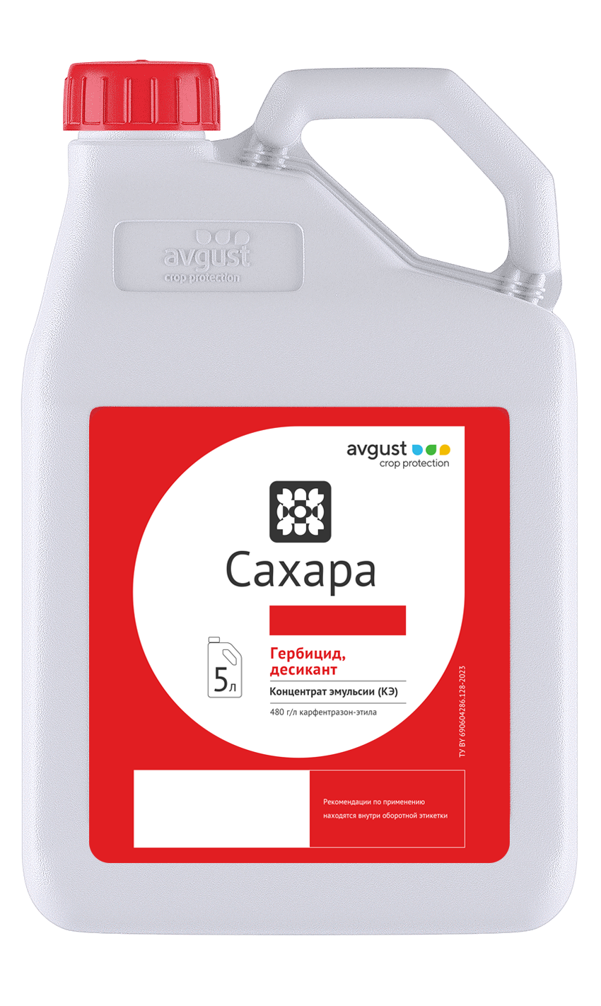 Сахара