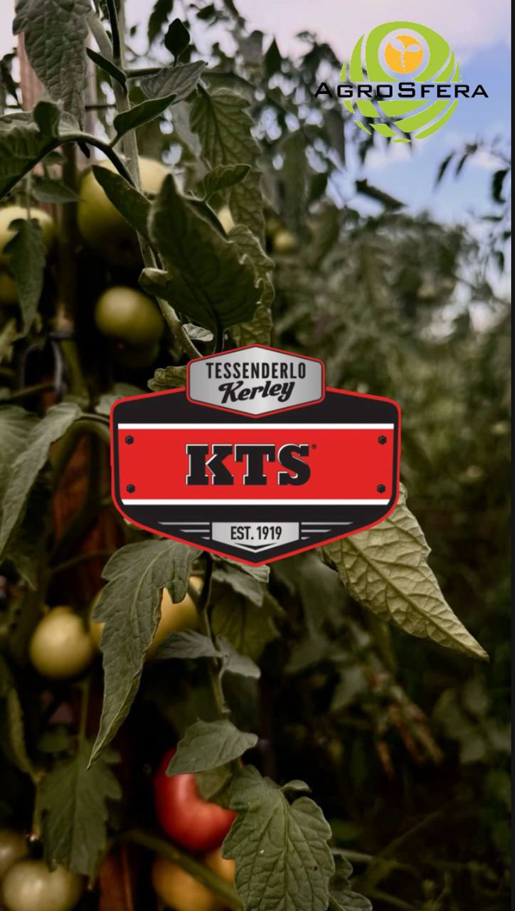 KTC®