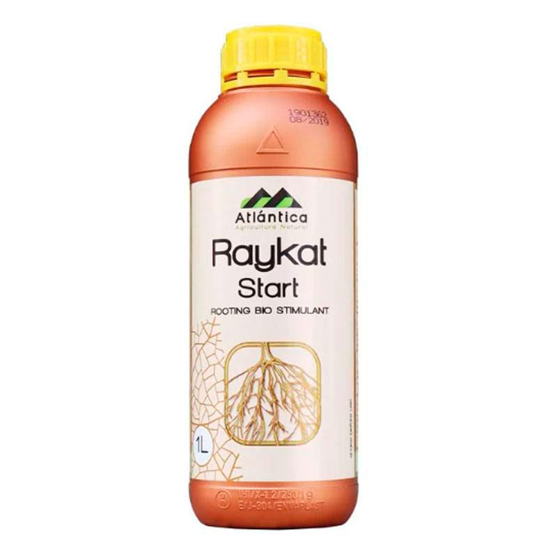 Райкат Старт (Raykat Start)