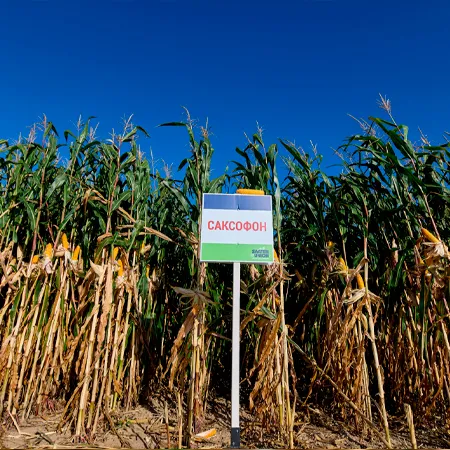 Саксофон ФАО 220